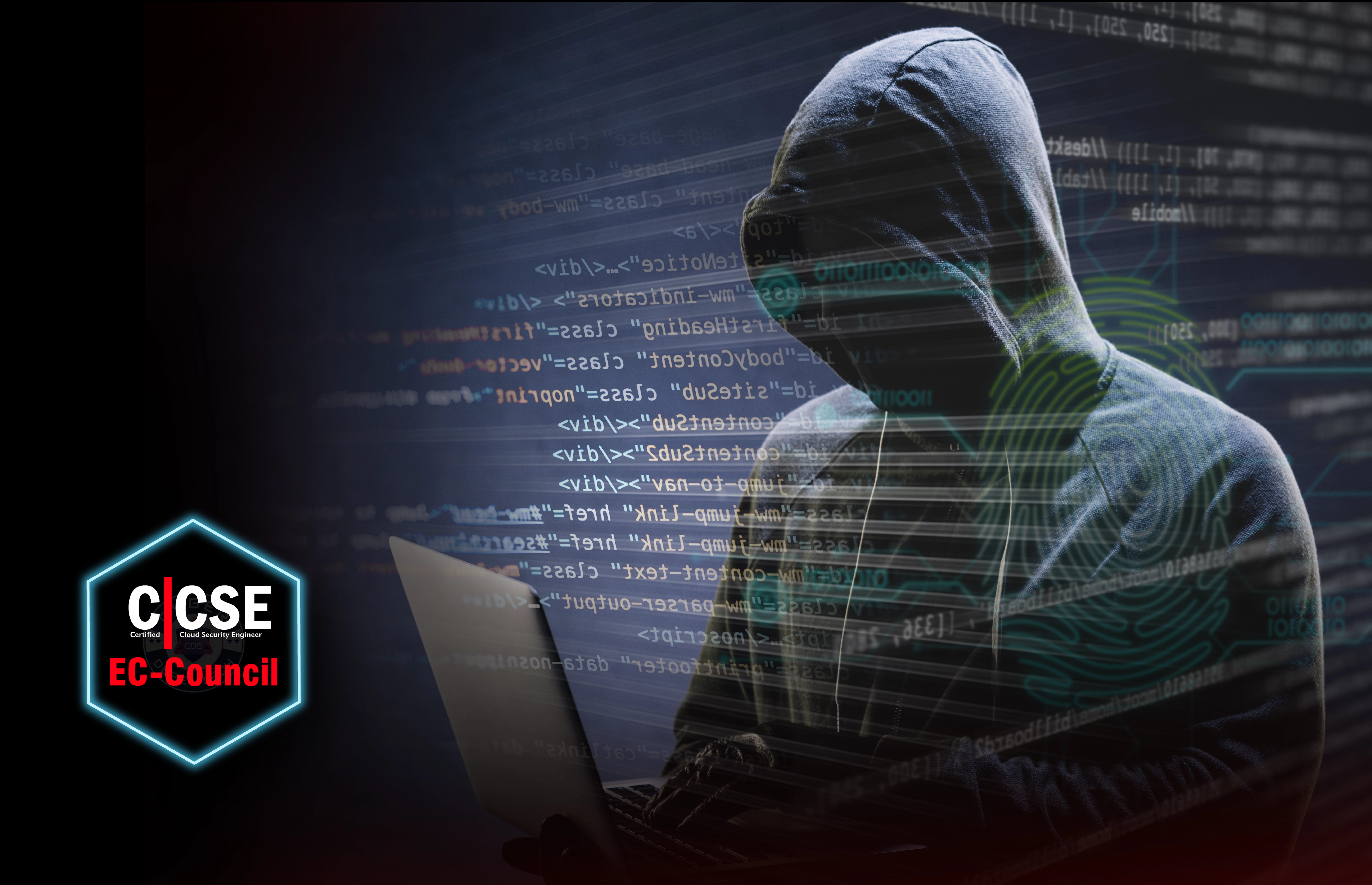 Network Penetration Testing